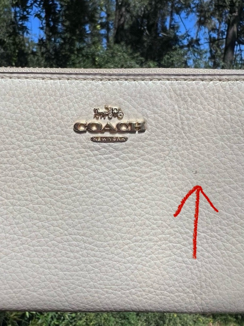 COACH Long Zip-Around Pebble Leather Wallet w Chalk White with Gold Hardware - Picture 9 of 10